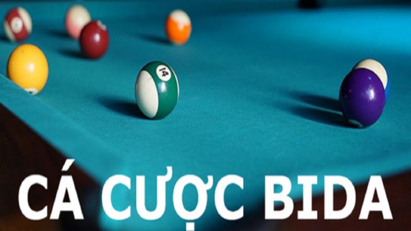 Tìm hiểu về cá cược bida